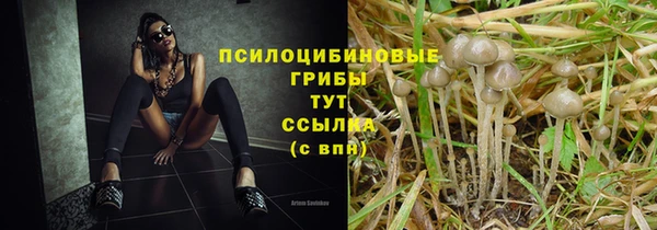 меф Балахна