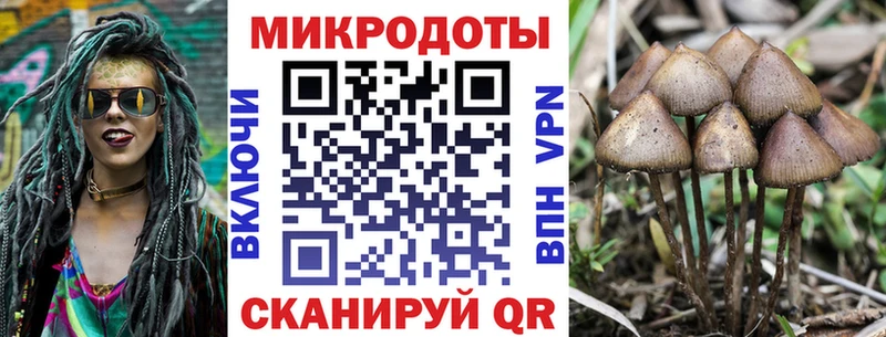 Галлюциногенные грибы мухоморы  OMG вход  Кушва 